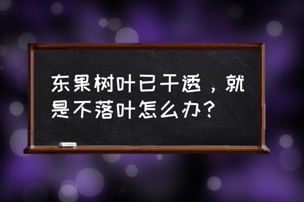 果树不会落叶怎么办 东果树叶已干透，就是不落叶怎么办？