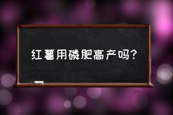 红薯上磷肥和钾肥高产吗 红薯用磷肥高产吗？