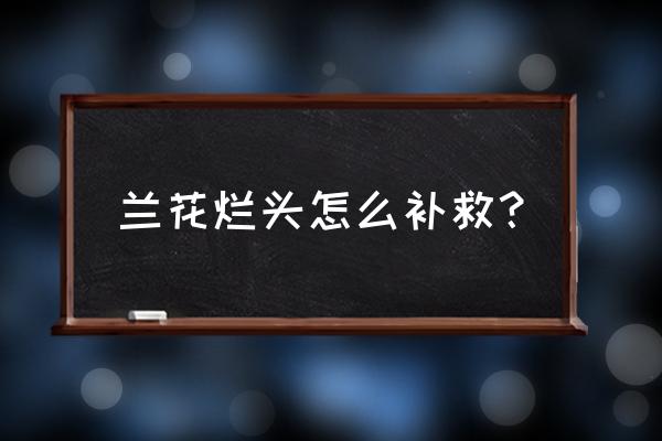 兰花水晶头腐烂是什么回事 兰花烂头怎么补救？