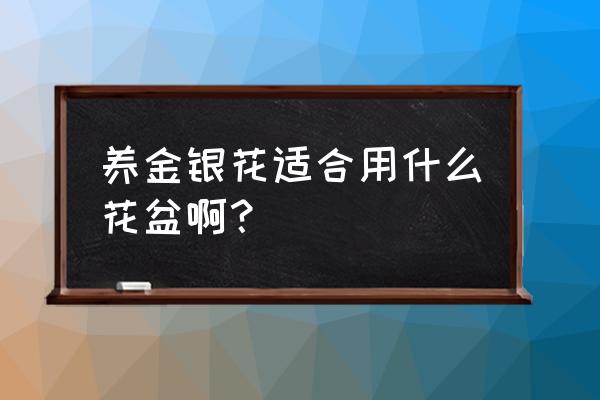 金银花适合什么花盆 养金银花适合用什么花盆啊？