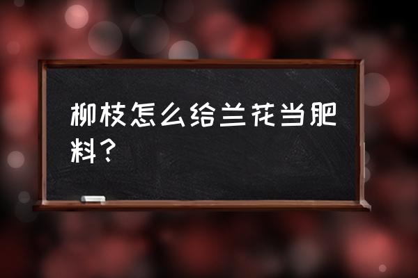 柳树枝泡过的水怎么浇兰花 柳枝怎么给兰花当肥料？