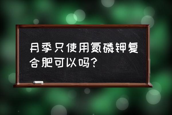 月季施了复合肥会开花吗 月季只使用氮磷钾复合肥可以吗？