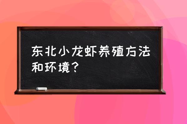 双辽市冬天怎么养殖小龙虾 东北小龙虾养殖方法和环境？