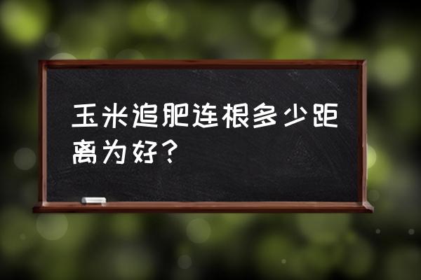 玉米复合肥可以撒施吗 玉米追肥连根多少距离为好？