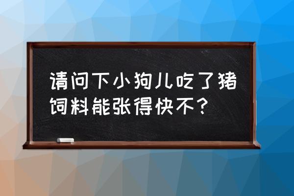 小狗能吃猪的精饲料吗 请问下小狗儿吃了猪饲料能张得快不？