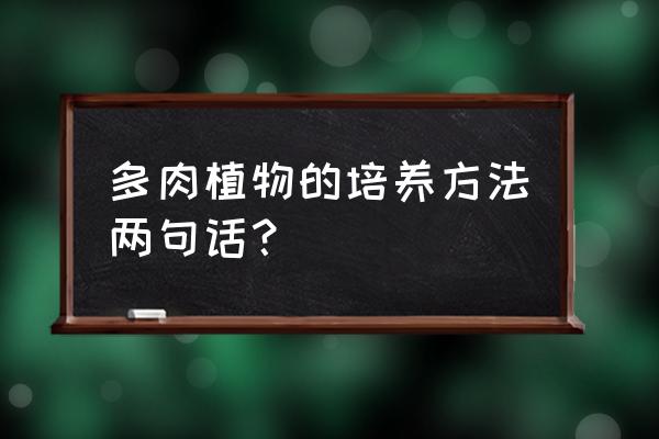 多肉植物怎么养成都 多肉植物的培养方法两句话？