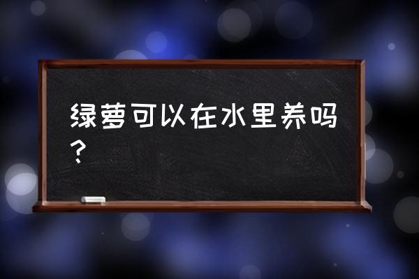 绿萝是不是水生植物 绿萝可以在水里养吗？