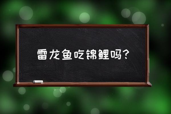 雷龙鱼可以吃锦鲤的饲料吗 雷龙鱼吃锦鲤吗？