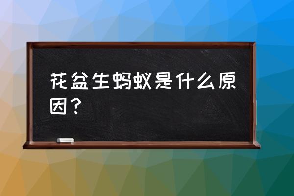 盆栽怎么会有蚂蚁 花盆生蚂蚁是什么原因？