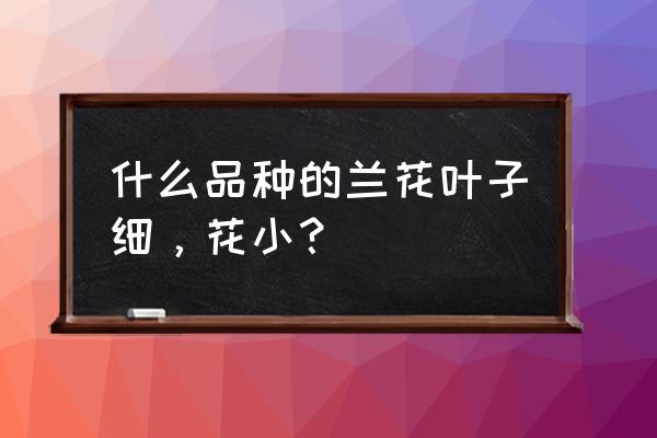 叶子细长的兰花是什么品种 什么品种的兰花叶子细，花小？