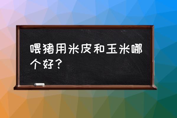 养猪用玉米吗 喂猪用米皮和玉米哪个好？