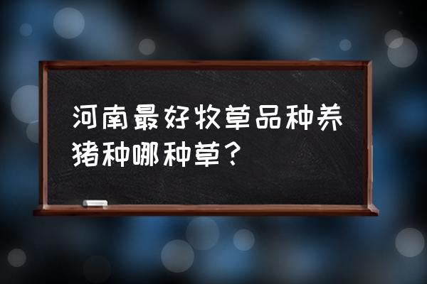 河南养猪种什么牧草一年种多次收 河南最好牧草品种养猪种哪种草？