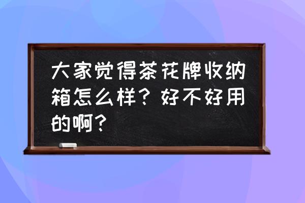 茶花牌整理箱长沙有专店吗 大家觉得茶花牌收纳箱怎么样？好不好用的啊？