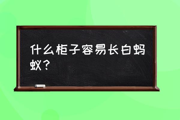 厨柜板材有可能有白蚁吗 什么柜子容易长白蚂蚁？