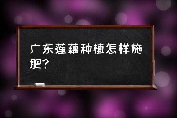 种植莲藕可以施中量元索复合肥吗 广东莲藕种植怎样施肥？