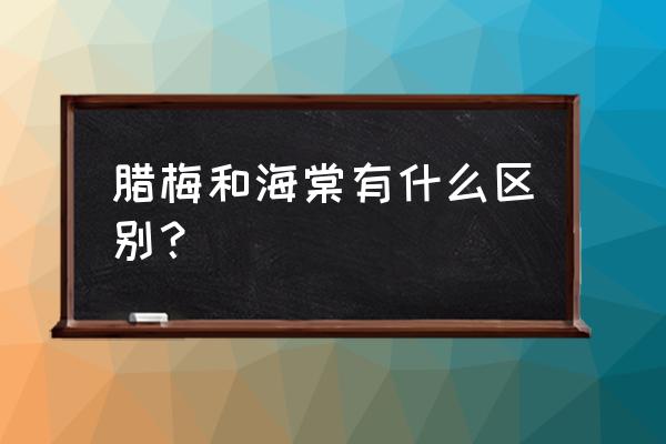 腊梅和海棠是一棵树吗 腊梅和海棠有什么区别？