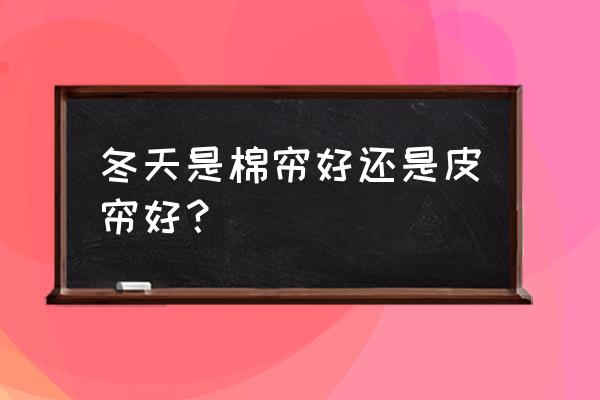 家用挡风透明保暖门帘哪种好 冬天是棉帘好还是皮帘好？