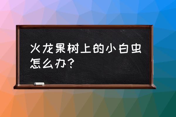 火龙果树长虫子了怎么办 火龙果树上的小白虫怎么办？