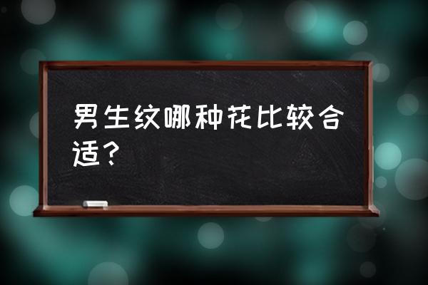 男人纹菊花什么意思 男生纹哪种花比较合适？