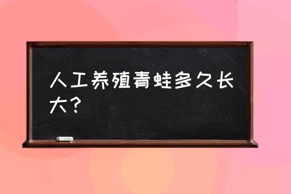 青蛙养殖技术周期多久 人工养殖青蛙多久长大？