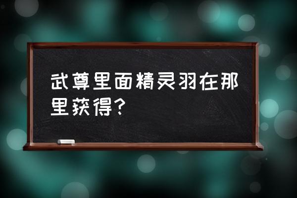 页游武尊元宝哪里来 武尊里面精灵羽在那里获得？