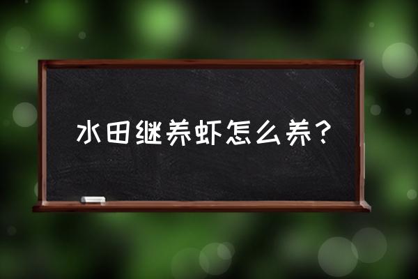 稻田养虾什么时候改种 水田继养虾怎么养？