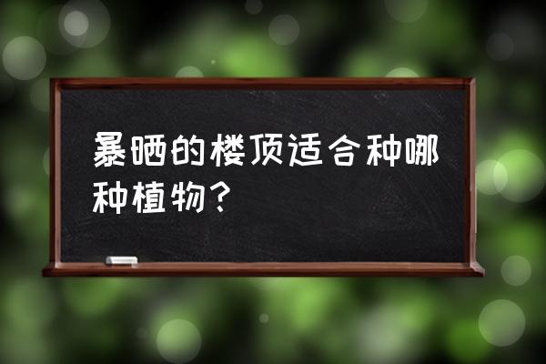 哪些植物适合屋顶绿化 暴晒的楼顶适合种哪种植物？