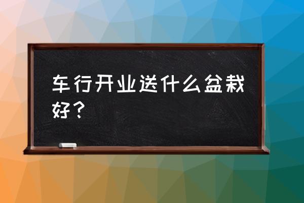 汽车美容店开业送什么盆栽好 车行开业送什么盆栽好？