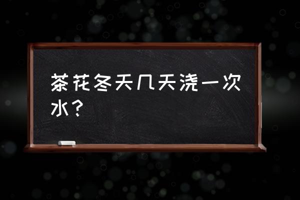 茶花冬天多长时间浇水 茶花冬天几天浇一次水？