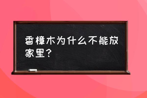 房间里放太多的樟木对身体有害吗 香樟木为什么不能放家里？