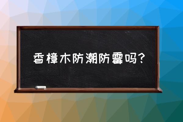 什么木头可以防霉防潮 香樟木防潮防霉吗？