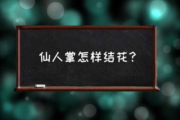 仙人掌怎么样才能让它开花 仙人掌怎样结花？