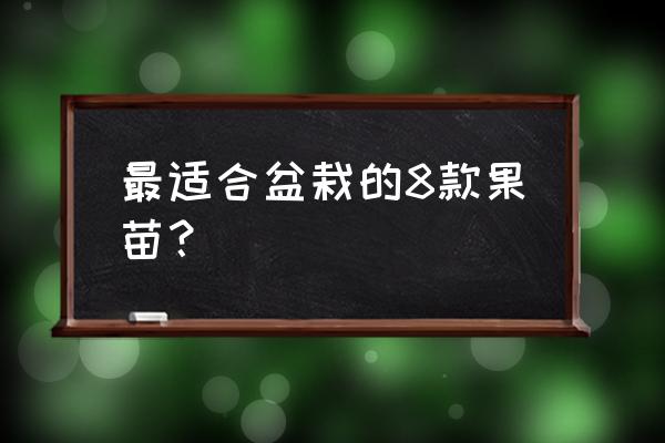 盆景水果有哪些 最适合盆栽的8款果苗？