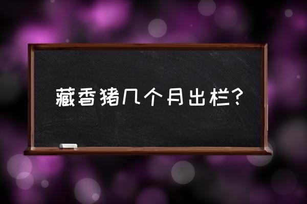 泉州哪里有藏香猪养殖场 藏香猪几个月出栏？