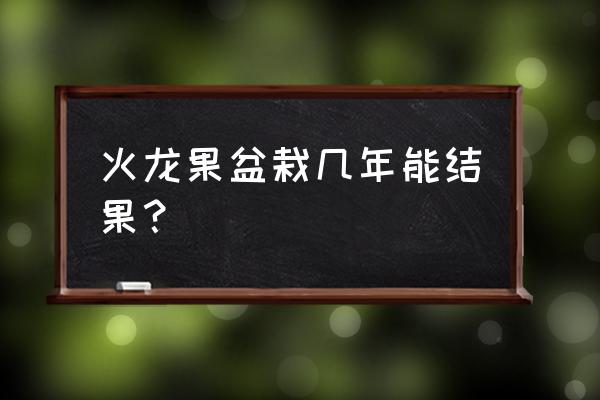 火龙果籽盆栽能结果吗 火龙果盆栽几年能结果？