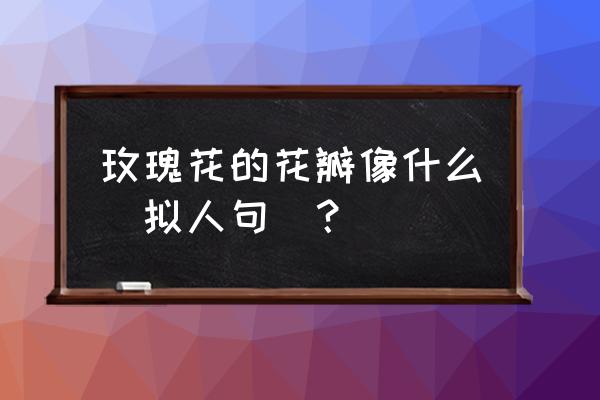 玫瑰盛开其瓣如什么如什么 玫瑰花的花瓣像什么（拟人句）？