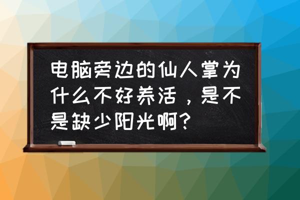 防辐射仙人掌好养吗? 电脑旁边的仙人掌为什么不好养活，是不是缺少阳光啊？