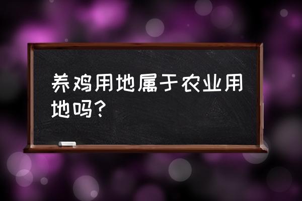 养鸡算农业吗 养鸡用地属于农业用地吗？