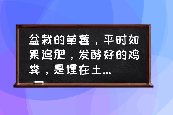 花盆种草莓用鸡粪行吗 盆栽的草莓，平时如果追肥，发酵好的鸡粪，是埋在土里，还是铺在花盆上面？