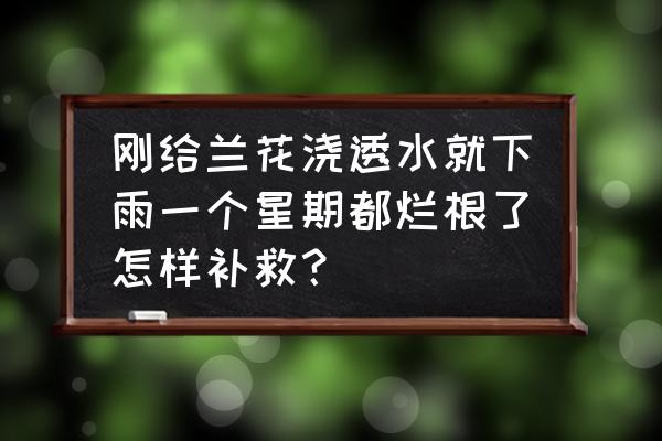 兰花浇水过多根部腐烂时怎么办 刚给兰花浇透水就下雨一个星期都烂根了怎样补救？