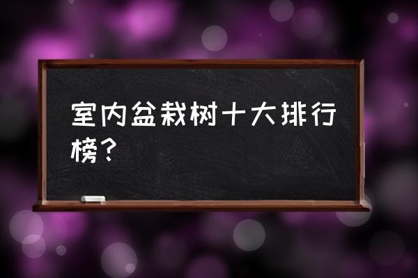 花盆里能种什么树 室内盆栽树十大排行榜？