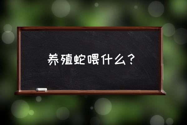 蛇最好的饲料是什么 养殖蛇喂什么？