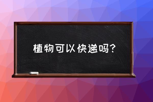 可以快递仙人掌吗 植物可以快递吗？