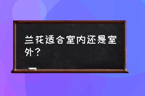 兰花放在什么地方养才合适 兰花适合室内还是室外？