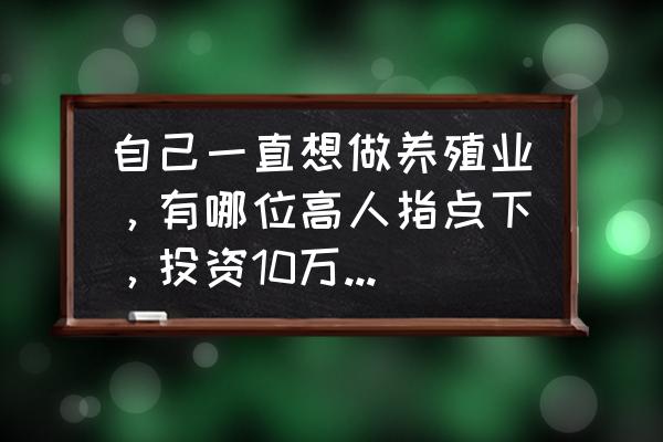 建个中型养猪场投资多大 自己一直想做养殖业，有哪位高人指点下，投资10万，能建多大规模猪圈？