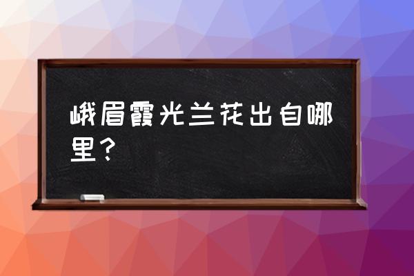 金佛山兰花有多少种 峨眉霞光兰花出自哪里？