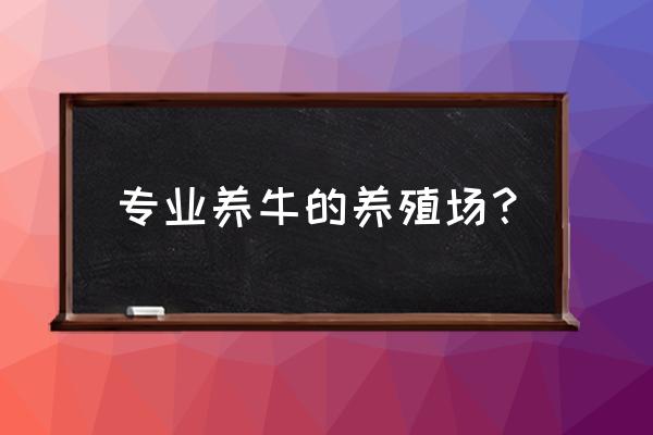 盐城大丰有养牛基地吗 专业养牛的养殖场？