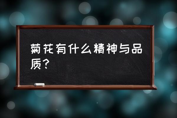 菊花代表什么精神 菊花有什么精神与品质？