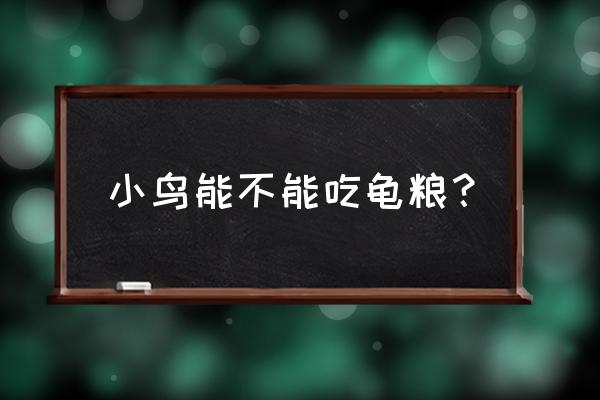 雏鸟喂乌龟饲料可以吗 小鸟能不能吃龟粮？