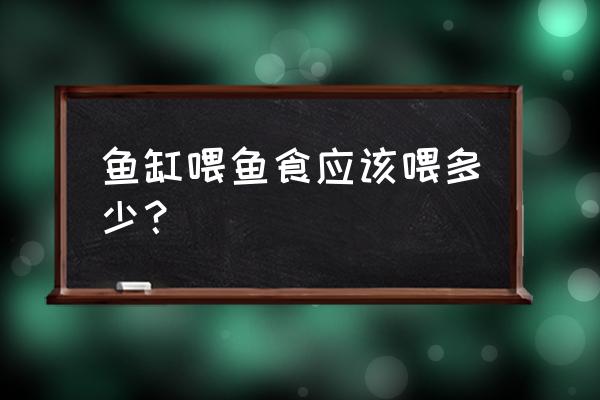 饲料养鱼一般放多少饲料 鱼缸喂鱼食应该喂多少？